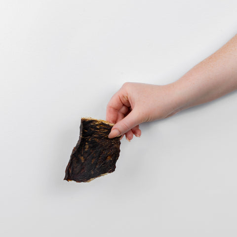 Piece of Beef Jerky pet treat held in hand