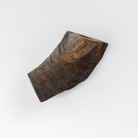 A piece of Goat Horn End for dogs