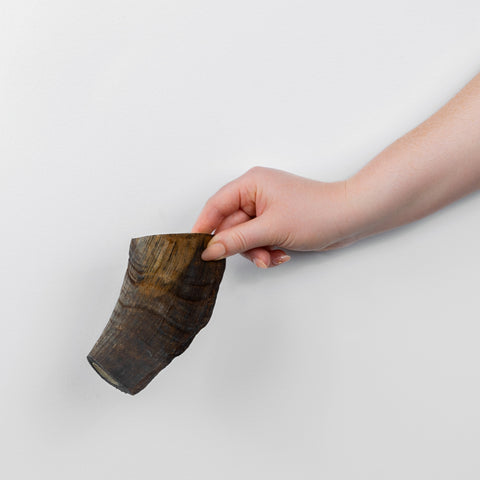Goat Horn End held in hand