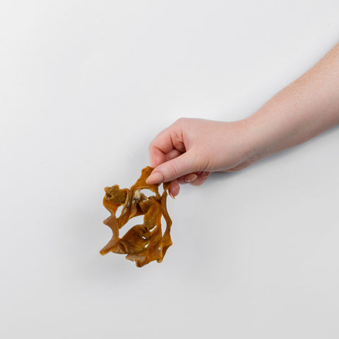 A piece of Goat Tripe Dog Treat held in hand