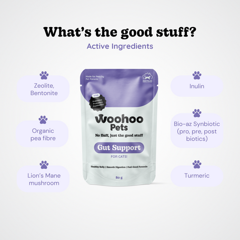 Active ingredients in Gut Support for Cats supplement