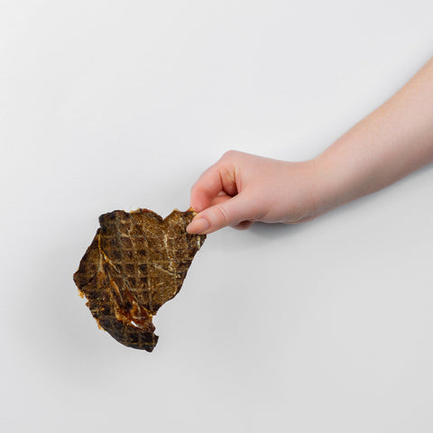 A piece of Vension Jerky pet treat held in hand