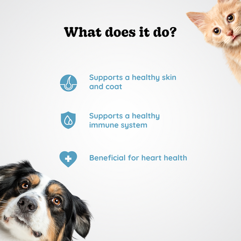 Omega Fish Oil for Pets