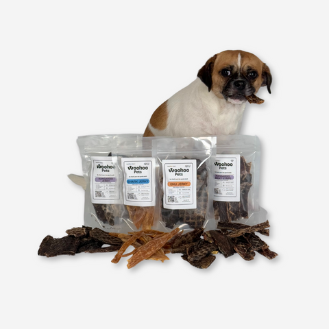 Allergy-friendly Jerky Pack with small brown and white dog