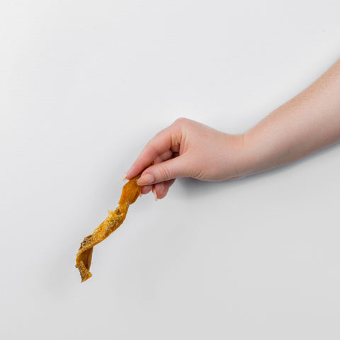 Piece of Beef Tripe dog treat held in hand