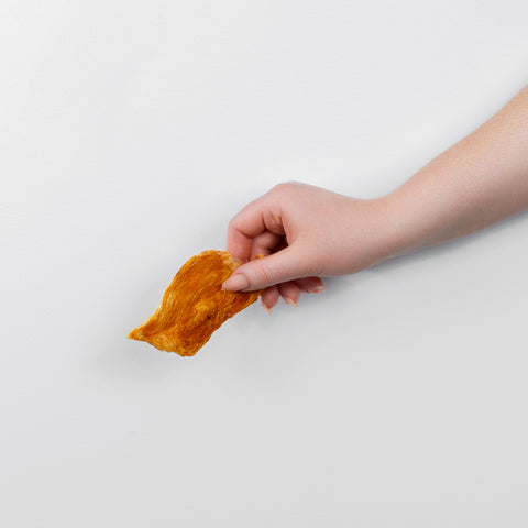 Piece of Chicken Jerky pet treat held in hand