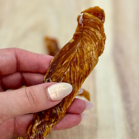 A piece of Chicken Jerky Tenderloin shown held in hand