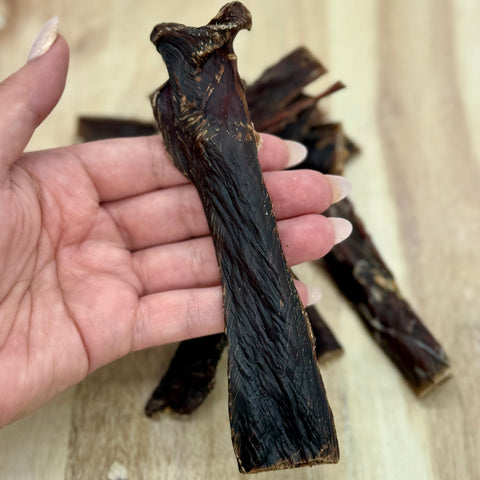 Close up of a Kangaroo Jerky strip in the palm of a hand