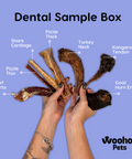 Infographic showing two hands holding the contents of the Dental Sample Box. Each product is named