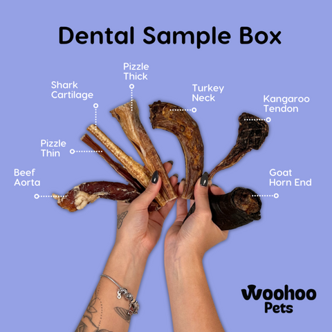 Infographic showing two hands holding the contents of the Dental Sample Box. Each product is named