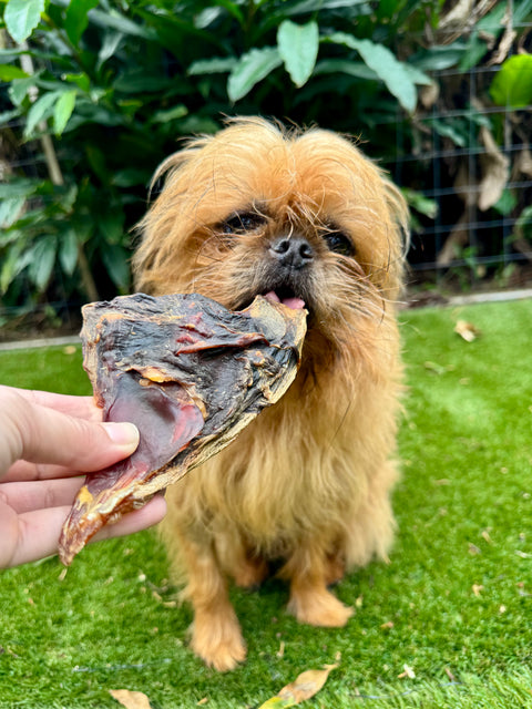 Kangaroo Tendons
