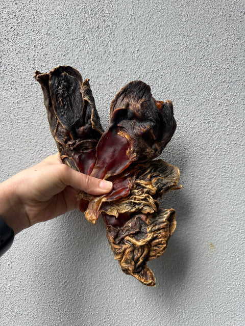 Kangaroo Tendons