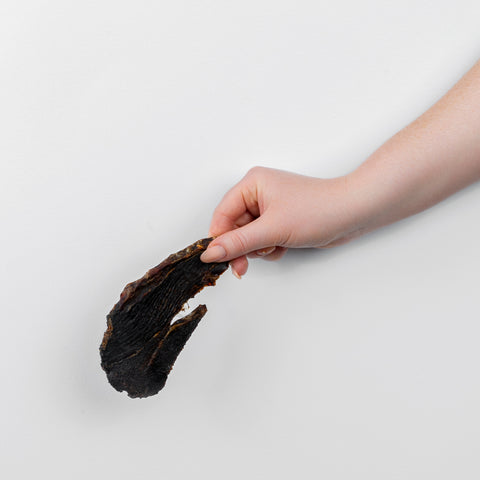 A piece of Kangaroo Jerky pet treat held in hand