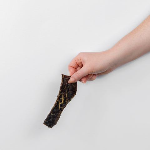 Kangaroo Jerky Strip held in hand