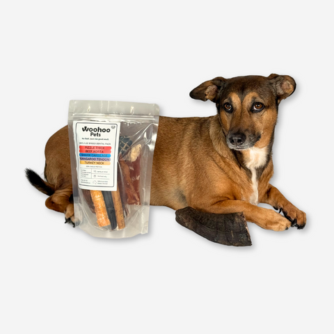 Medium Brown Dog with Dental Treat pack for Medium Dogs