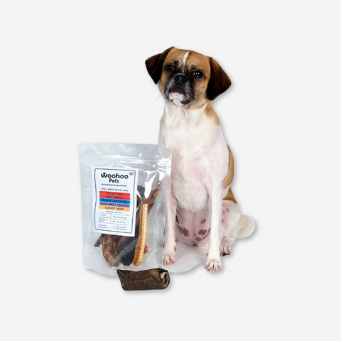 Small Dog with Dental Treat pack for Small Breed Dogs