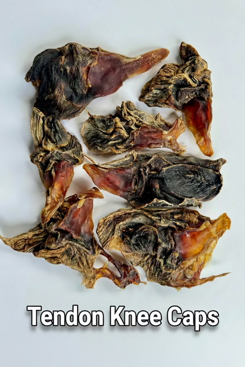 Kangaroo Tendons