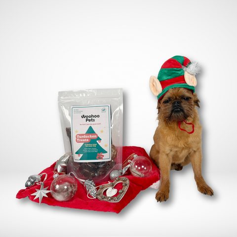 Small brown dog sitting next to Limited edition Xmas pack