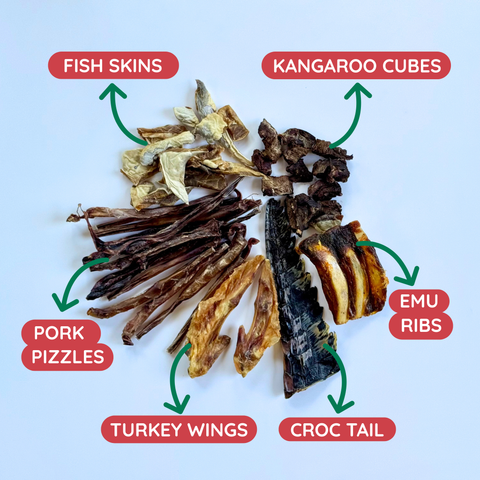 Dried animal products labeled with their names on a light blue background