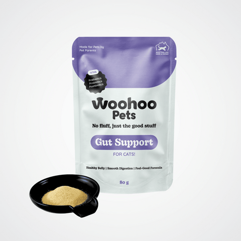 Gut Support for Cats