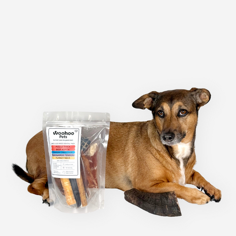 Dental Treat Packs