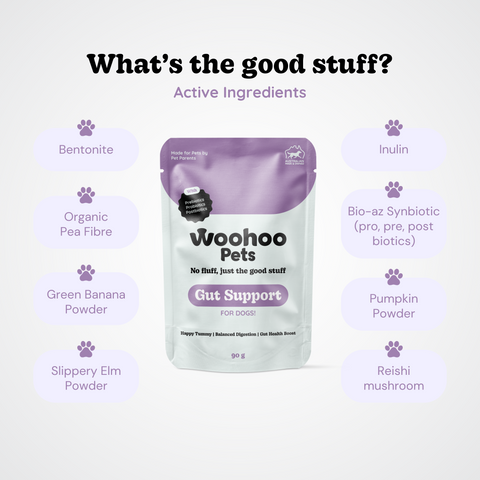 Active ingredients in Gut Support for Dogs supplement